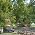 OTRA_2017_CN_0138 (August 27, 2017)